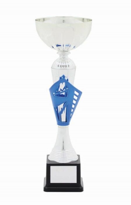 METAL BOWL TROPHY