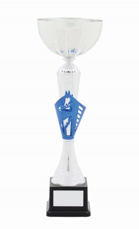 METAL BOWL TROPHY