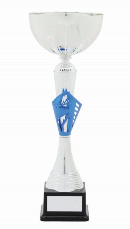 METAL BOWL TROPHY