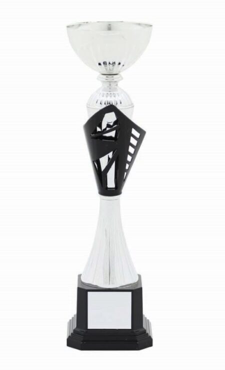 METAL BOWL TROPHY