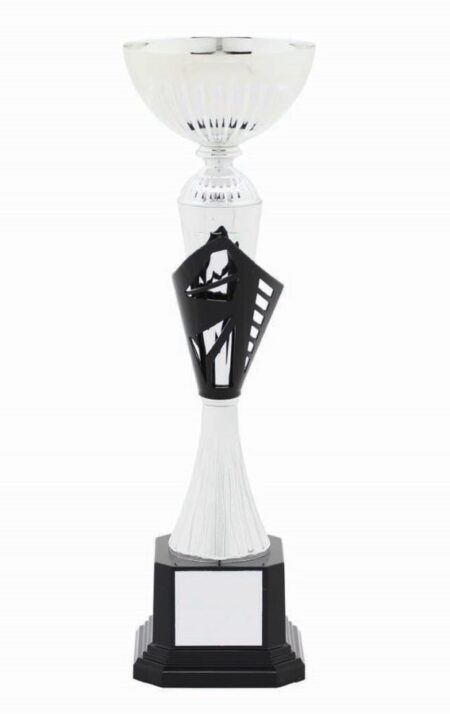 METAL BOWL TROPHY
