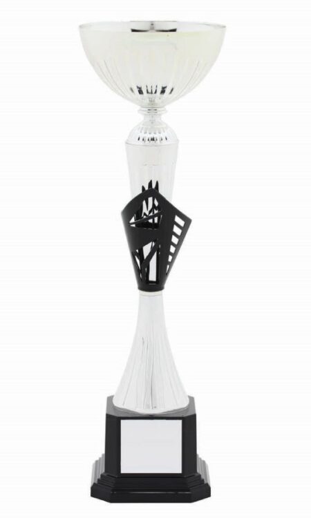 METAL BOWL TROPHY