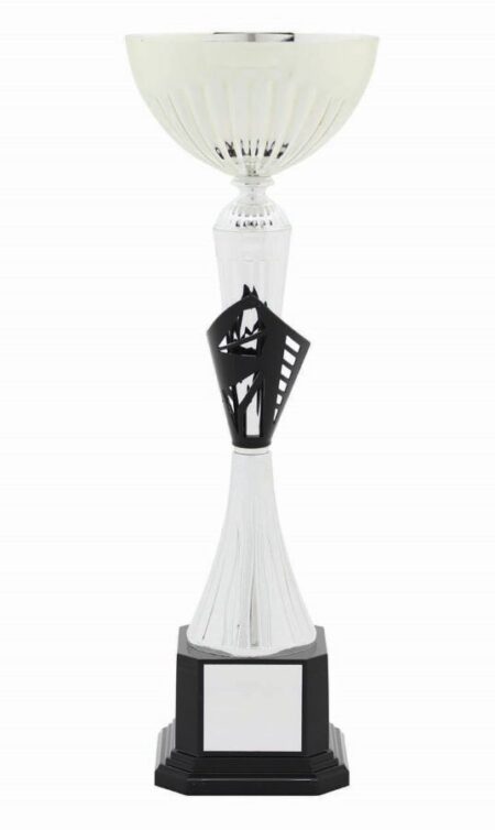 METAL BOWL TROPHY