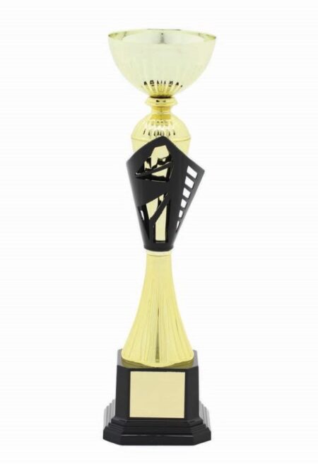 METAL BOWL TROPHY