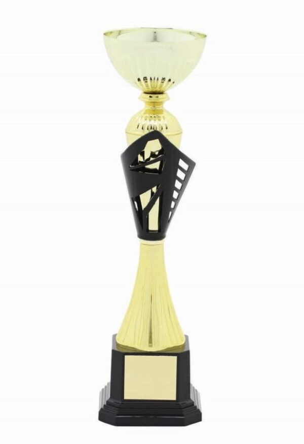 METAL BOWL TROPHY