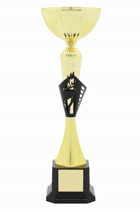METAL BOWL TROPHY