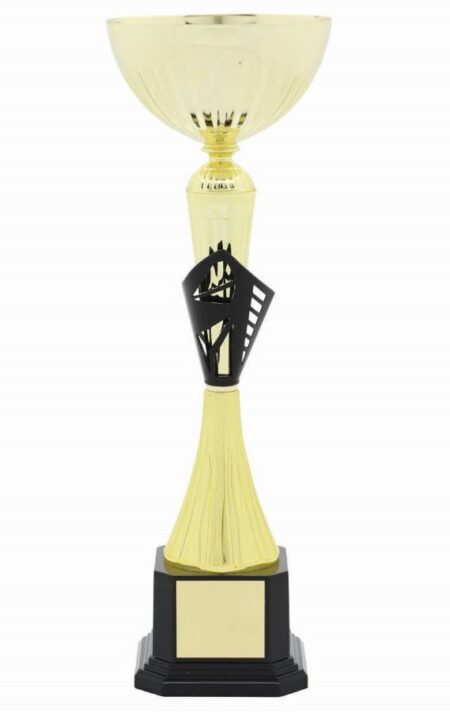 METAL BOWL TROPHY