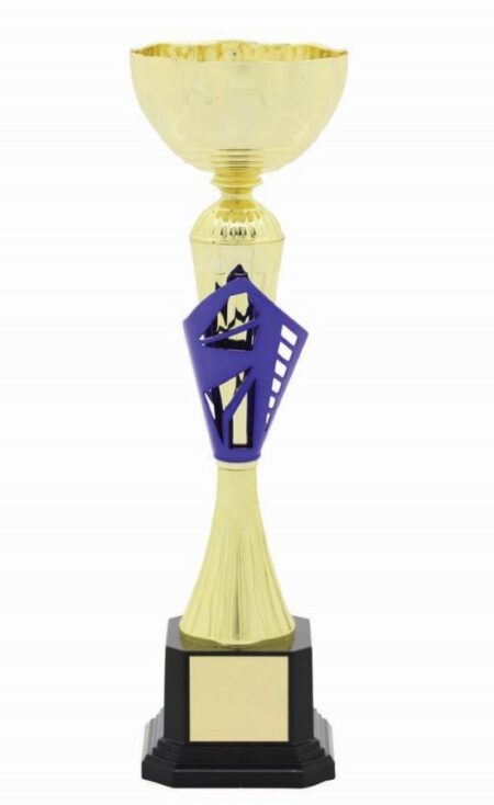 METAL BOWL TROPHY
