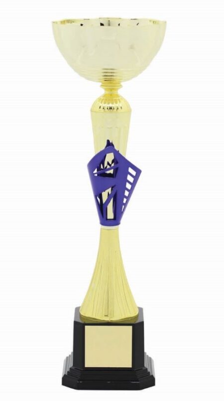 METAL BOWL TROPHY