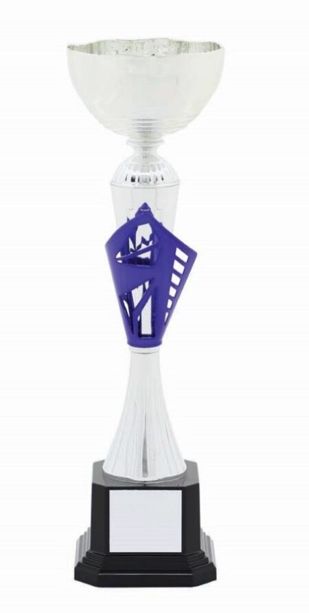 METAL BOWL TROPHY