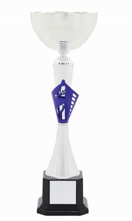 METAL BOWL TROPHY
