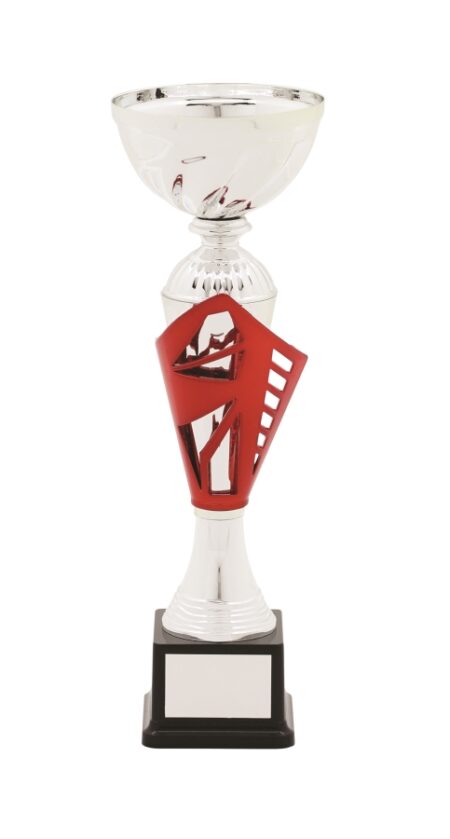 METAL BOWL TROPHY