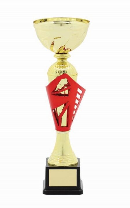 METAL BOWL TROPHY