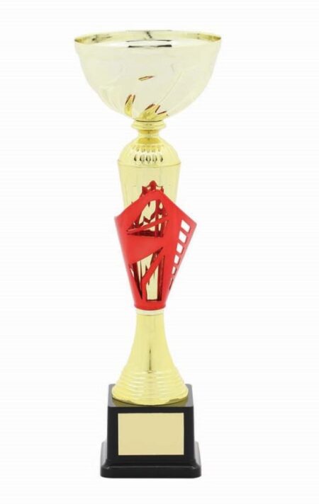 METAL BOWL TROPHY