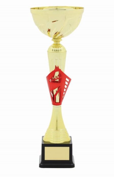 METAL BOWL TROPHY