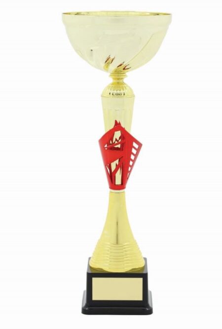 METAL BOWL TROPHY