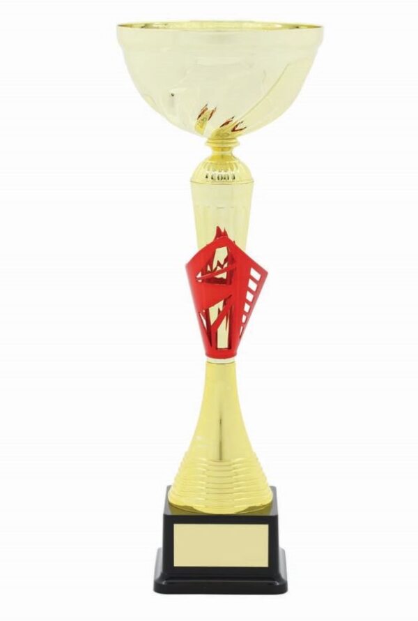 METAL BOWL TROPHY