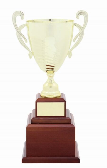 METAL CUP TROPHY