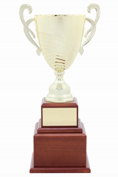 METAL CUP TROPHY