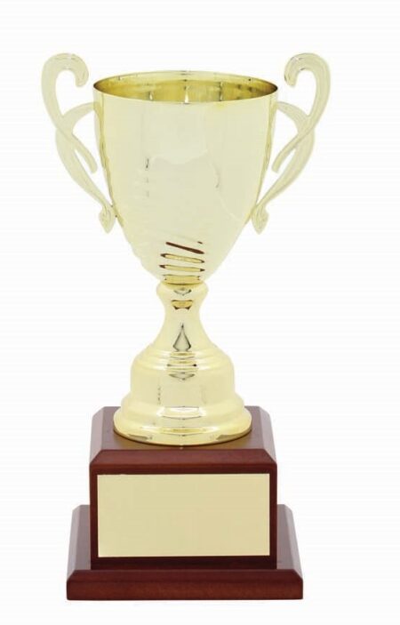 METAL CUP TROPHY