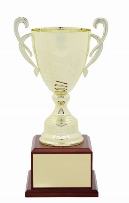 METAL CUP TROPHY