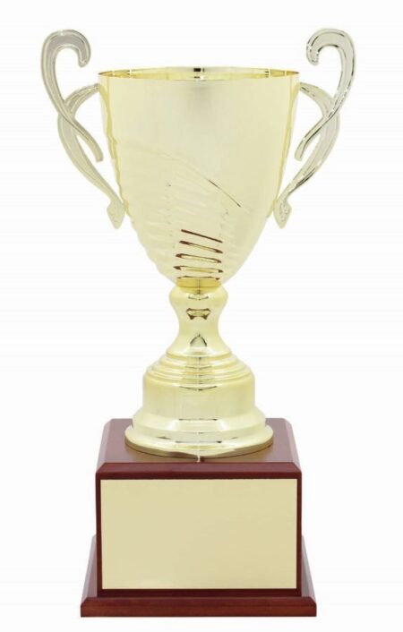 METAL CUP TROPHY