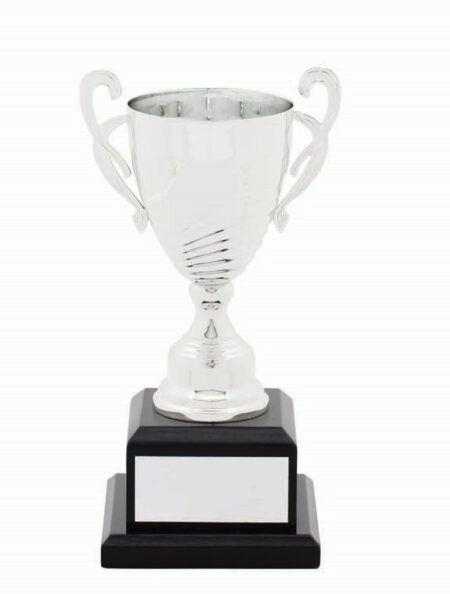 METAL CUP TROPHY