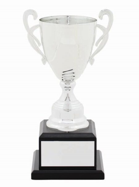 METAL CUP TROPHY