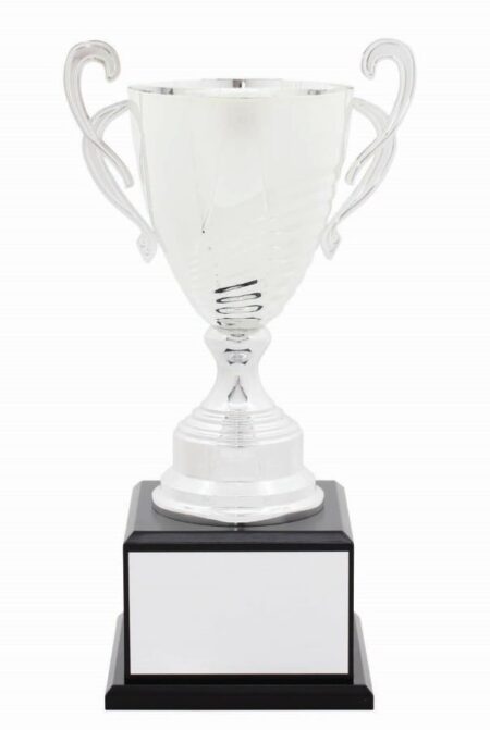 METAL CUP TROPHY