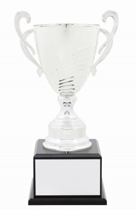 METAL CUP TROPHY