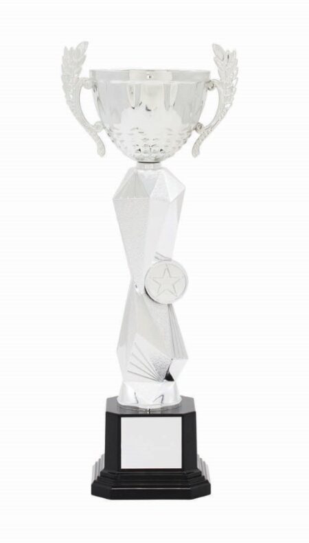 METAL BOWL TROPHY