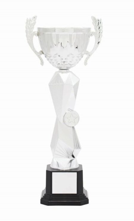 METAL BOWL TROPHY