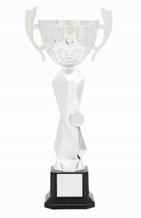 METAL BOWL TROPHY