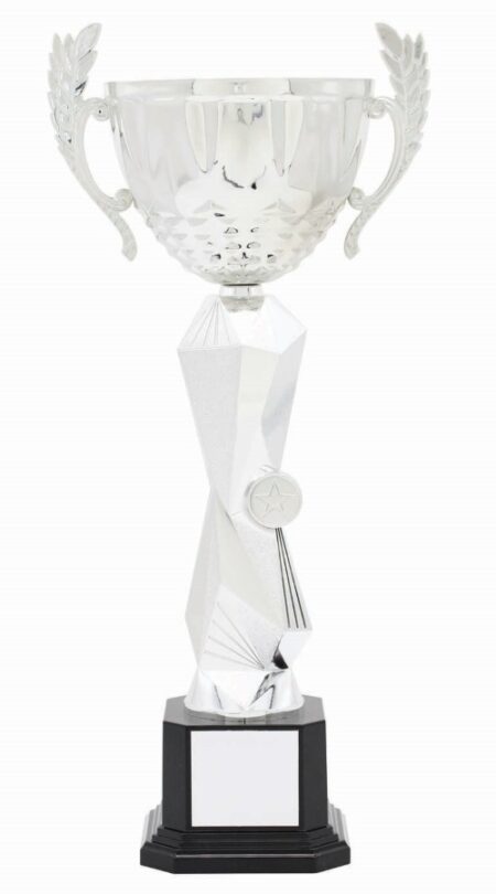 METAL BOWL TROPHY