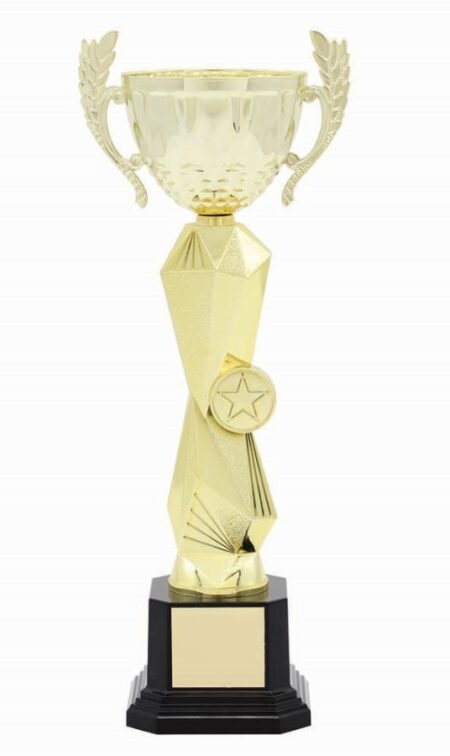 METAL BOWL TROPHY
