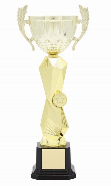 METAL BOWL TROPHY