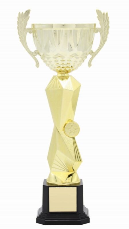 METAL BOWL TROPHY