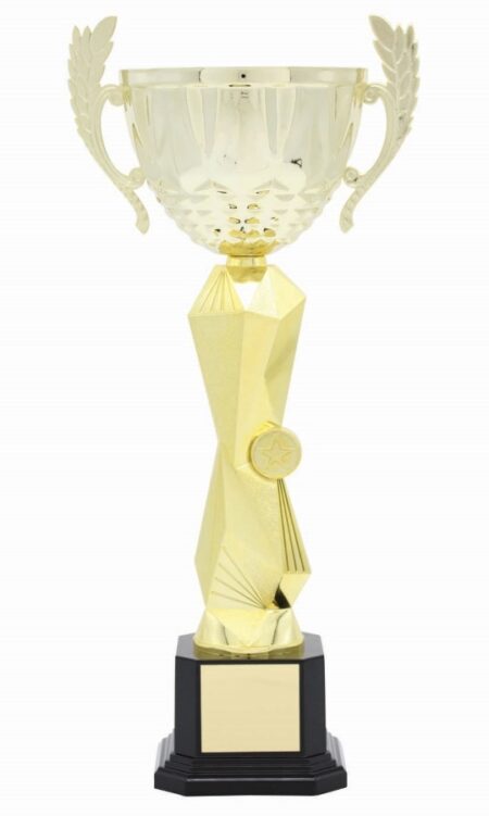 METAL BOWL TROPHY