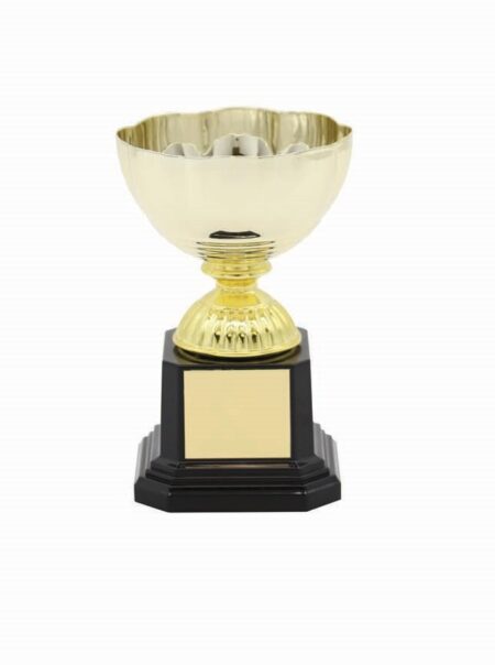 METAL BOWL TROPHY