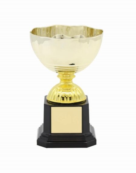 METAL BOWL TROPHY