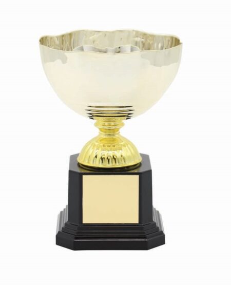 METAL BOWL TROPHY