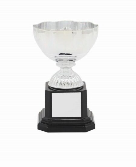 METAL BOWL TROPHY