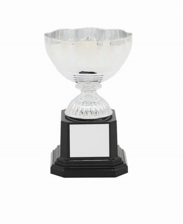METAL BOWL TROPHY