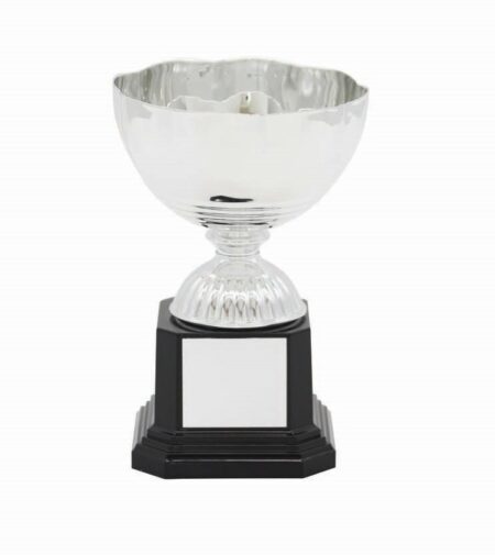 METAL BOWL TROPHY