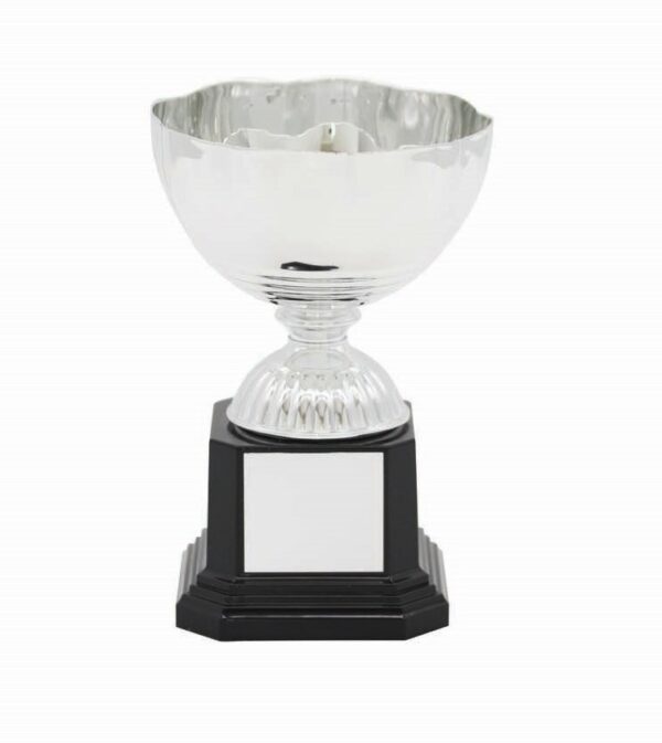 METAL BOWL TROPHY