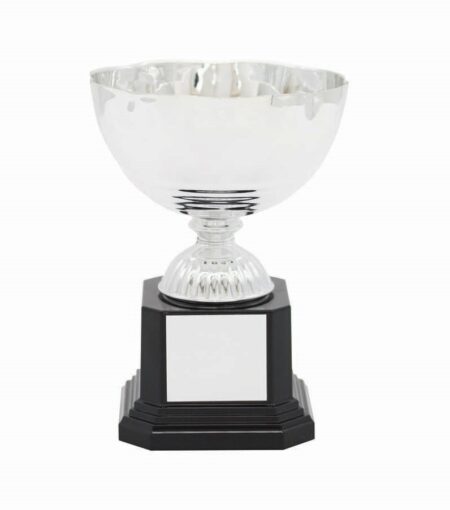 METAL BOWL TROPHY