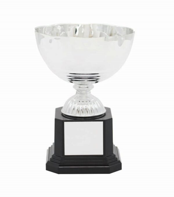METAL BOWL TROPHY