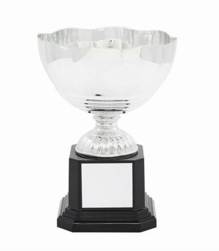 METAL BOWL TROPHY