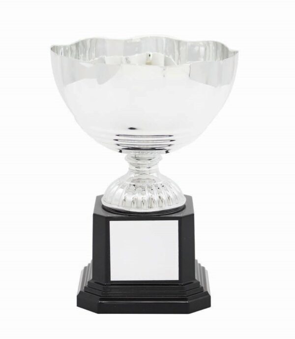METAL BOWL TROPHY