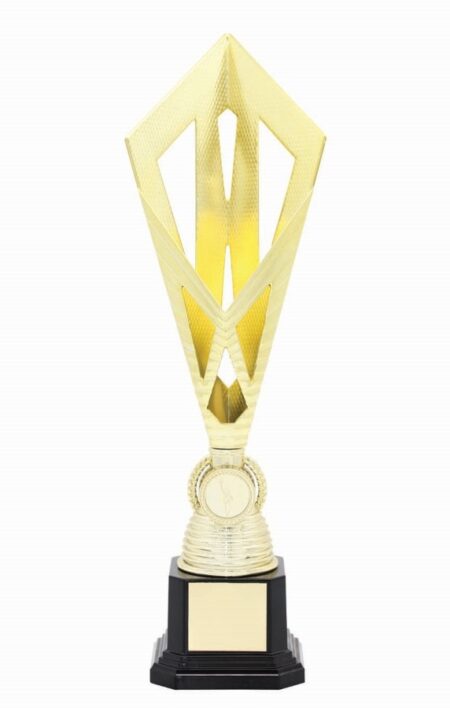 METAL BOWL TROPHY